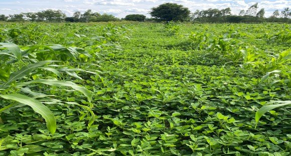 Description of image